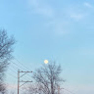 Meet your Posher, Abigail